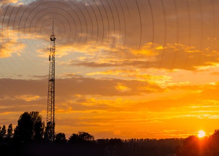 WP-How to manage 2G 3G 4G Sunset-Whitepaper-Card-700x500