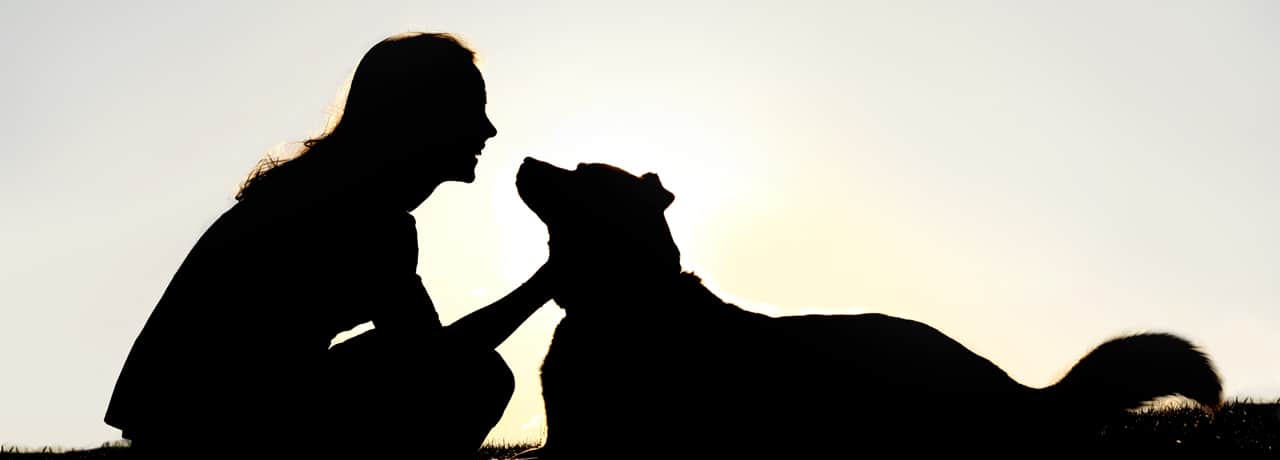 iot-tracking-technology-takes-the-stress-out-of-pet-ownership